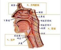 QQ圖片20150721134902.png QQ圖片20150721134902.png