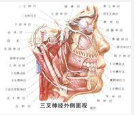 QQ圖片20150721135032.png QQ圖片20150721135032.png