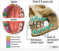 QQ圖片20150721135429.png QQ圖片20150721135429.png