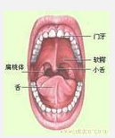 QQ圖片20150721135519.png QQ圖片20150721135519.png