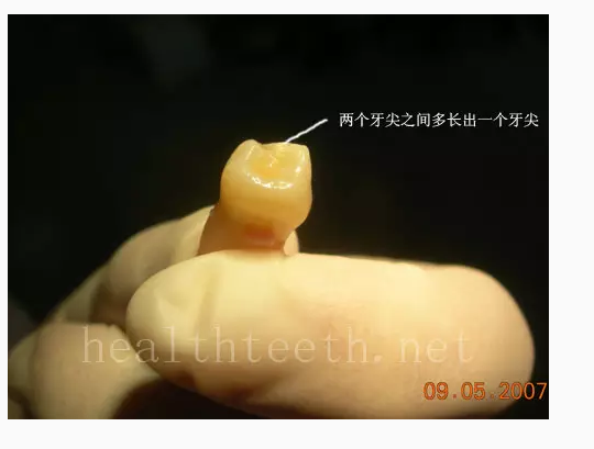 QQ圖片20150722094555.png QQ圖片20150722094555.png