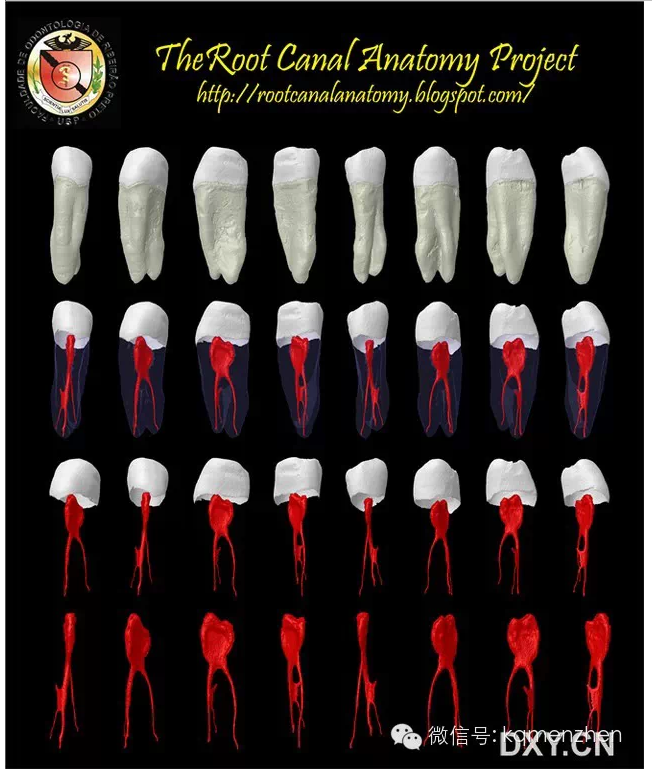 QQ圖片20150725102044.png QQ圖片20150725102044.png