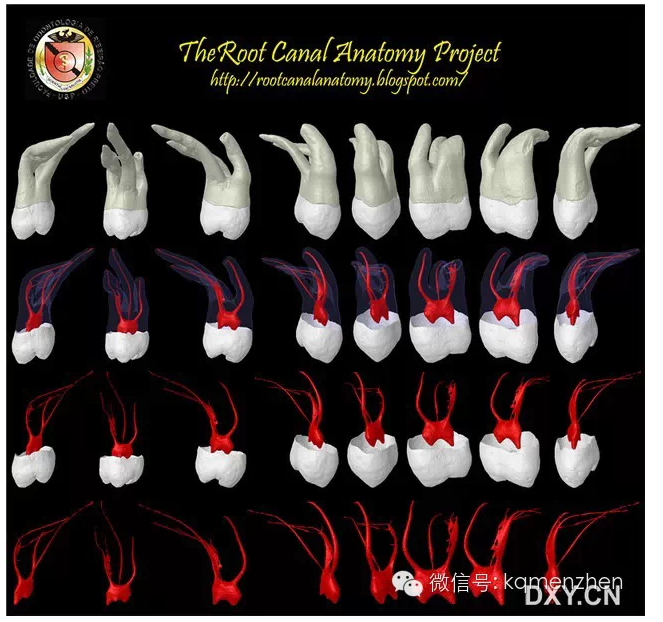 QQ圖片20150725102114.png QQ圖片20150725102114.png