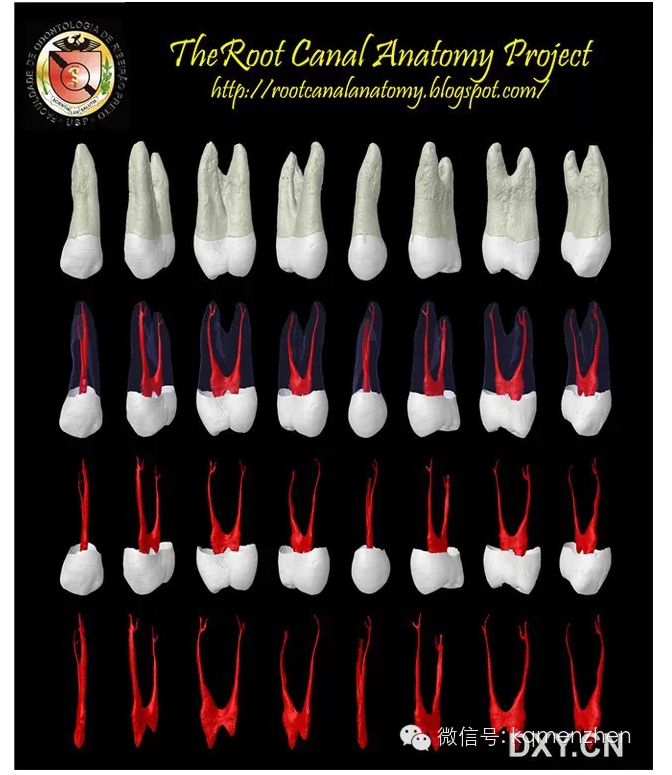 QQ圖片20150725102126.png QQ圖片20150725102126.png