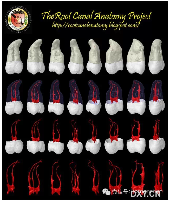 QQ圖片20150725102140.png QQ圖片20150725102140.png