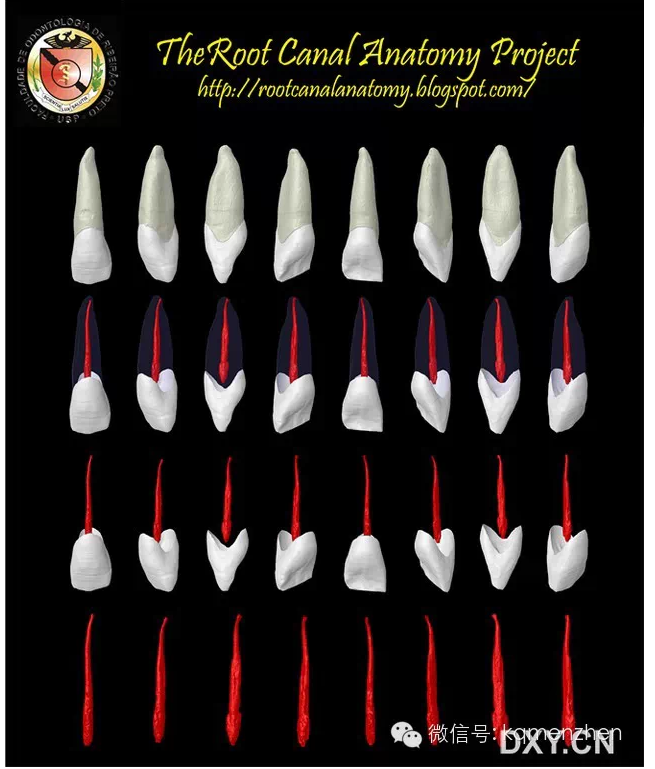 QQ圖片20150725102206.png QQ圖片20150725102206.png