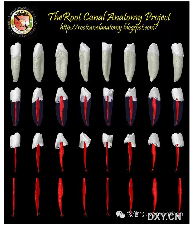 QQ圖片20150725102231.png QQ圖片20150725102231.png