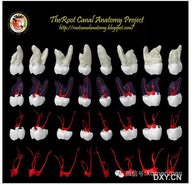 QQ圖片20150725102245.png QQ圖片20150725102245.png