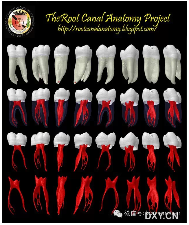 QQ圖片20150725102300.png QQ圖片20150725102300.png