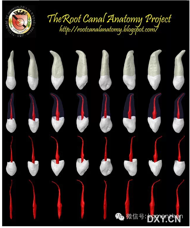 QQ圖片20150725102318.png QQ圖片20150725102318.png