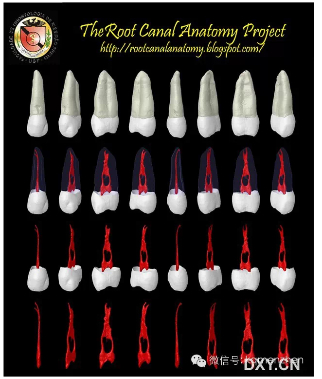 QQ圖片20150725102332.png QQ圖片20150725102332.png