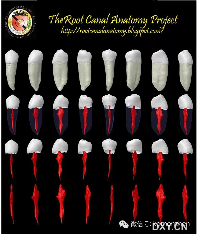 QQ圖片20150725102345.png QQ圖片20150725102345.png