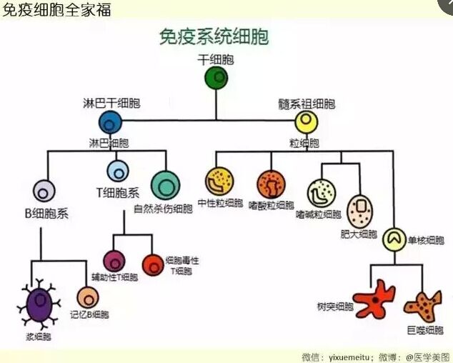 QQ圖片20150725114426.jpg QQ圖片20150725114426.jpg