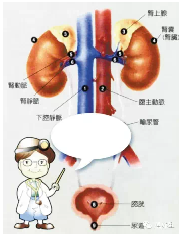 QQ圖片20150728112949.png QQ圖片20150728112949.png