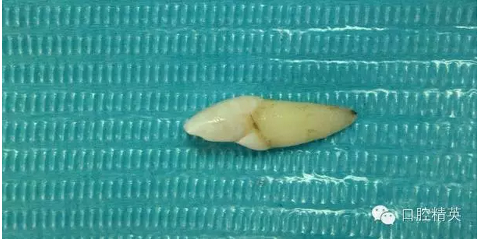 QQ圖片20150804105543.png QQ圖片20150804105543.png