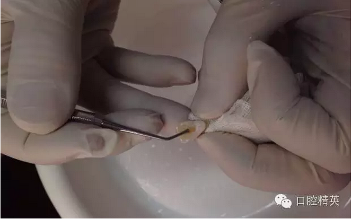 QQ圖片20150804110546.png QQ圖片20150804110546.png