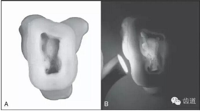 QQ圖片20150804152913.jpg QQ圖片20150804152913.jpg