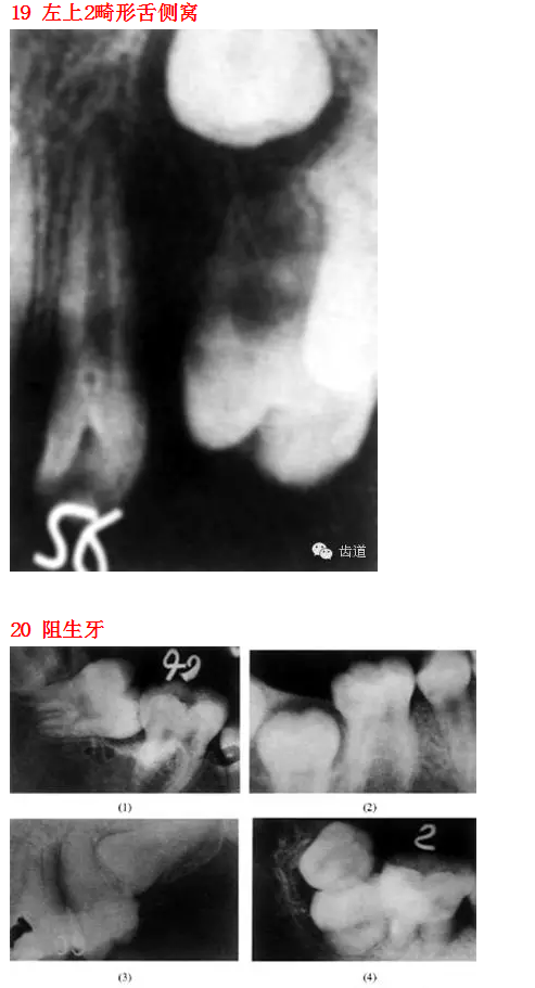 QQ圖片20150812095609.png QQ圖片20150812095609.png