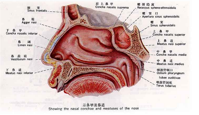 QQ圖片20150814140551.png QQ圖片20150814140551.png