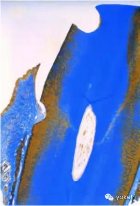 QQ圖片20150820101003.png QQ圖片20150820101003.png