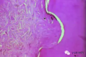 QQ圖片20150820101015.png QQ圖片20150820101015.png