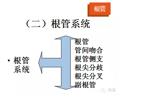 QQ圖片20150820144355.png QQ圖片20150820144355.png