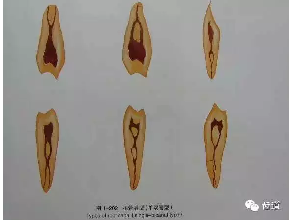 QQ圖片20150820144609.png QQ圖片20150820144609.png