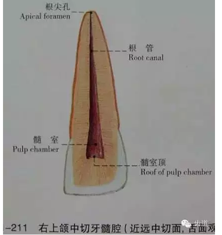 QQ圖片20150820144907.png QQ圖片20150820144907.png