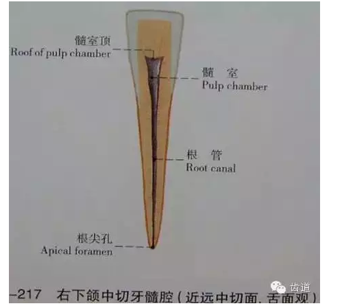 QQ圖片20150820144942.png QQ圖片20150820144942.png