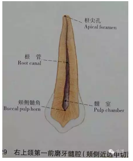 QQ圖片20150820145437.png QQ圖片20150820145437.png