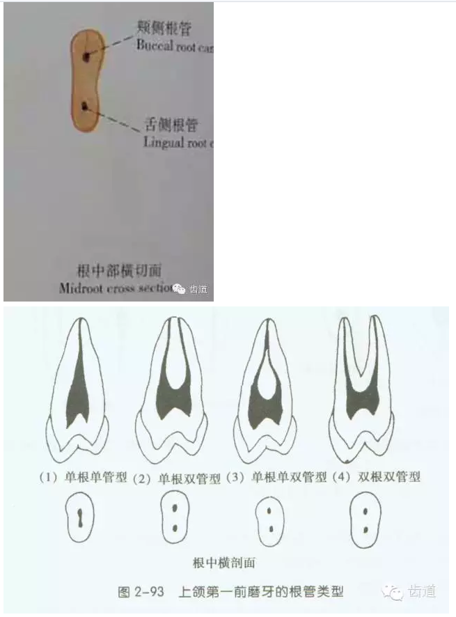 QQ圖片20150820145450.png QQ圖片20150820145450.png