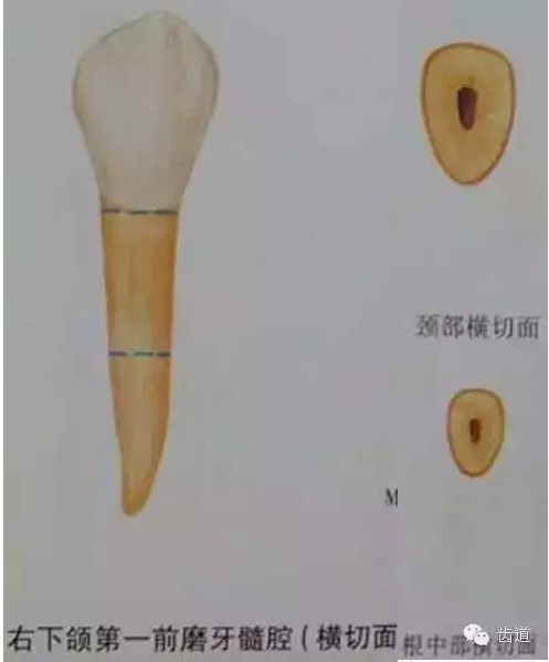 QQ圖片20150820145529.png QQ圖片20150820145529.png