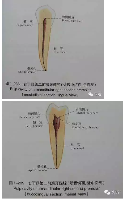QQ圖片20150820145541.png QQ圖片20150820145541.png