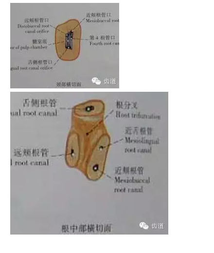 QQ圖片20150820145829.png QQ圖片20150820145829.png