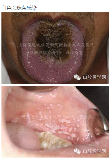 QQ圖片20150824140555.png QQ圖片20150824140555.png