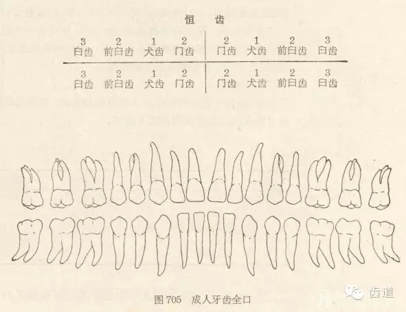 11111.webp (1).jpg 11111.webp (1).jpg