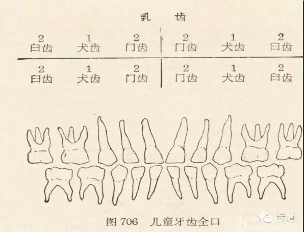 11112.webp (1).jpg 11112.webp (1).jpg