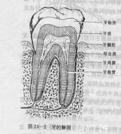 11115.webp (1).jpg 11115.webp (1).jpg