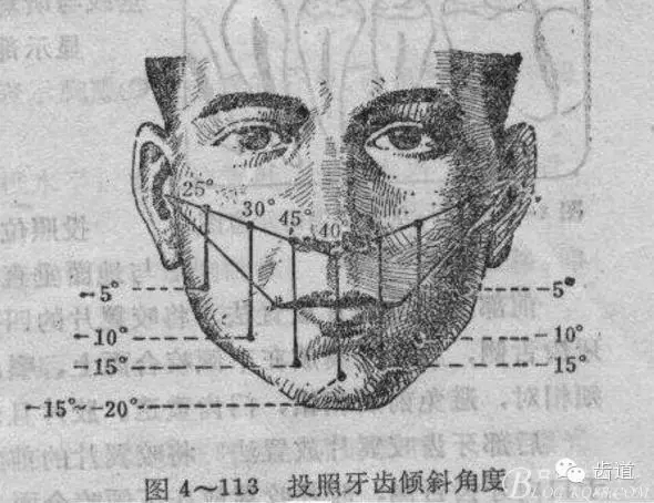 11118.webp.jpg 11118.webp.jpg