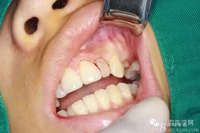 86.webp.jpg 86.webp.jpg