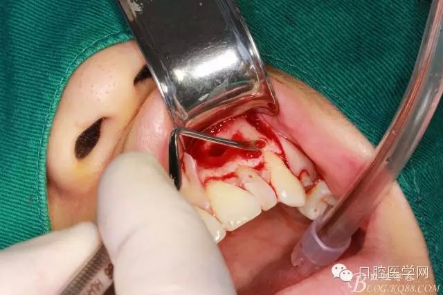 97.webp.jpg 97.webp.jpg