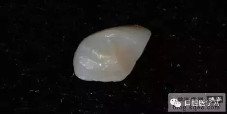 204.webp.jpg 204.webp.jpg