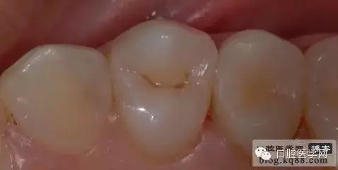 208.webp.jpg 208.webp.jpg