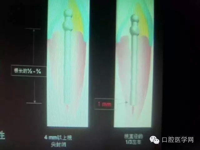 40.webp.jpg 40.webp.jpg