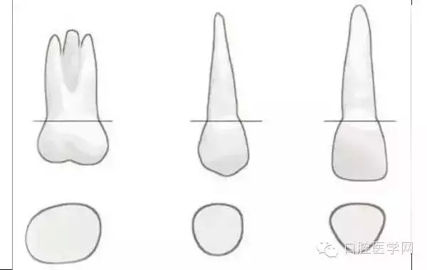 90.webp.jpg 90.webp.jpg