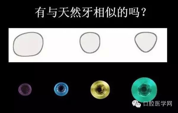 91.webp.jpg 91.webp.jpg