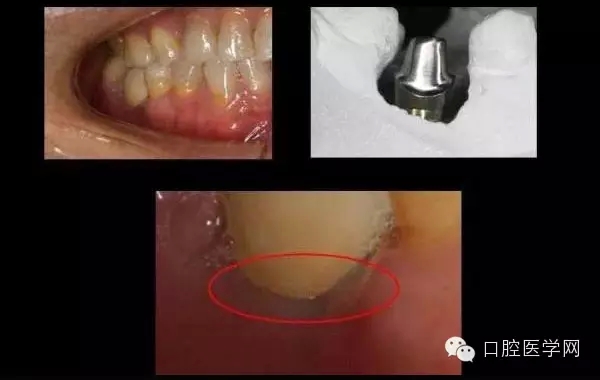 100.webp.jpg 100.webp.jpg