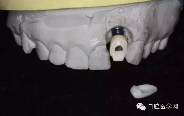 107.webp.jpg 107.webp.jpg