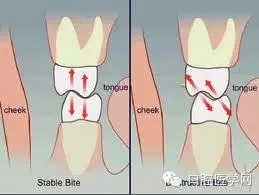 8.webp.jpg 8.webp.jpg