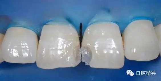 9.webp.jpg 9.webp.jpg